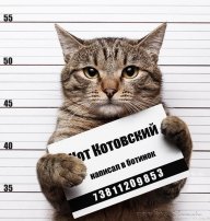 Елисей...