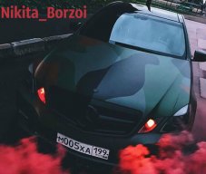 Nikita_borzoi
