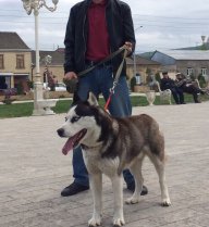 Axmed_Mihailenko