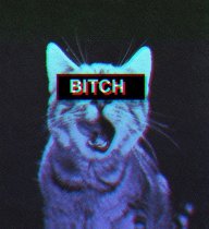 Arsik_Generalow