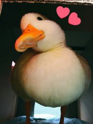 Андрей_Явкиков