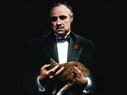 Tomaato