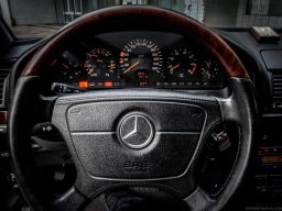 Nikolas_Zonda