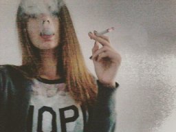 ▲Vinogradov▲