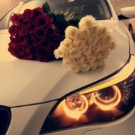 _Myagkov_