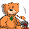 murat_Lion