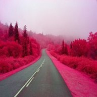 Jony_Fraisse