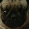 Just_A_Little