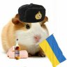 Vlad_Zheliba