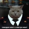 Artem_Rayzer