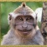 Egor_Murzilka
