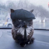 Daniil_Spartak