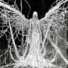 Artem Chemodanov