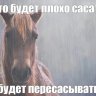 Klim_Pavlovsky