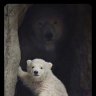 Georgiy_Gromov