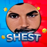 shest228