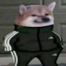 Despaze_Wockhardt