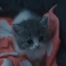 Коcмос❤️