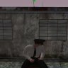 Serega_Rezin