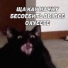 Dimitriy_Kotov