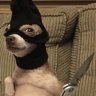 Felix_Wayne