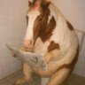 Nur_Magamedov