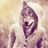 Mr_W0lf