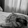 Kirusha_Clifford