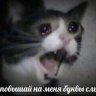 Makson_Kiselev