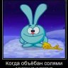 look for drugs every day