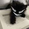 Hikaru_Soulie