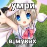 Albina_Shark