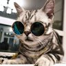 Мишка Погорелов
