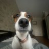 Egor_Kiss