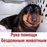 Artem_Ozerov
