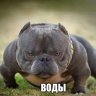 VZakone