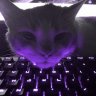 Egor_Potemkin