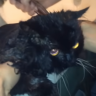 rezzakula.