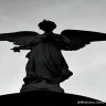 Lonely_Requiem