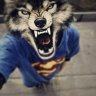 Mishachlen