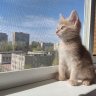 Egor_Regenov