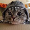 Maksim_Pokrovskiy