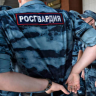 Denis_Bogatov