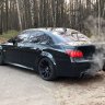 Душите госсников