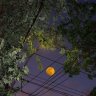 Evgenii_Lonely