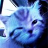 William_Tremit