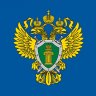 Daniil_Firstov