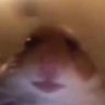 Mark_Kolonohi