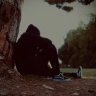 Egor_Ermoleev
