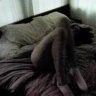 Igor_Plushkin
